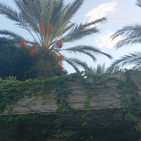 фото из отзыва ID 2734058