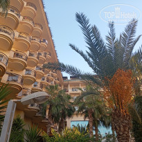 фото из отзыва ID 2734058