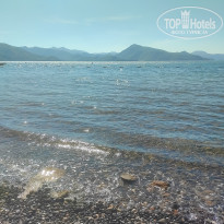 фото из отзыва ID 2734064