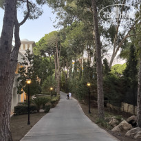 фото из отзыва ID 2734077