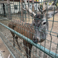 фото из отзыва ID 2734077