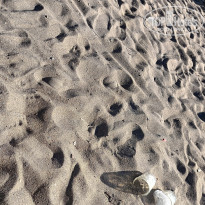 фото из отзыва ID 2734089