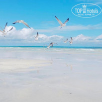 фото из отзыва ID 2734095