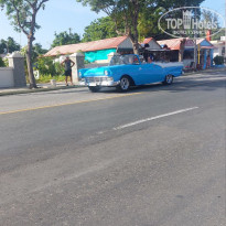 фото из отзыва ID 2734095