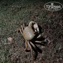 фото из отзыва ID 2734095