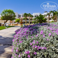 фото из отзыва ID 2734056