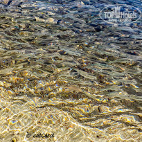 фото из отзыва ID 2734056