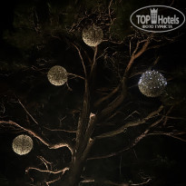 фото из отзыва ID 2734220