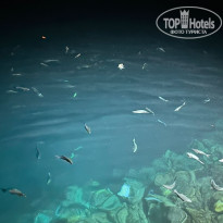 фото из отзыва ID 2734329