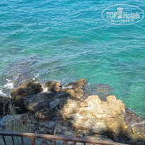 фото из отзыва ID 2734388