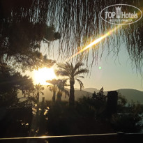 фото из отзыва ID 2734388