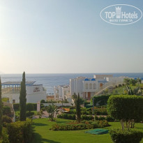 фото из отзыва ID 2734391