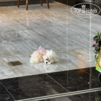 фото из отзыва ID 2734415