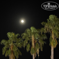 фото из отзыва ID 2734415