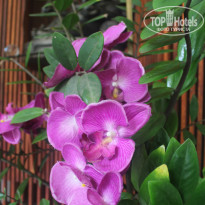 фото из отзыва ID 2734420