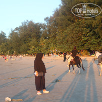 фото из отзыва ID 2734420