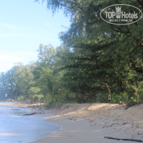 фото из отзыва ID 2734420