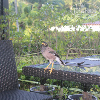 фото из отзыва ID 2734420