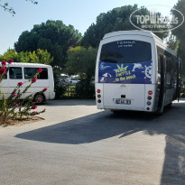 фото из отзыва ID 2734425