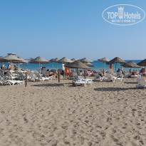 фото из отзыва ID 2734425