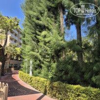 фото из отзыва ID 2734109