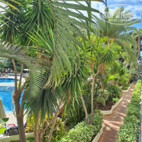 фото из отзыва ID 2734443