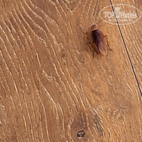 фото из отзыва ID 2734443