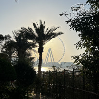 фото из отзыва ID 2734455