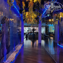 фото из отзыва ID 2734455