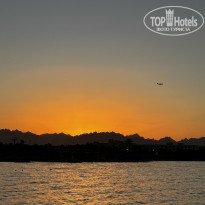 фото из отзыва ID 2734462