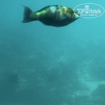 фото из отзыва ID 2734462