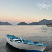 фото из отзыва ID 2734334