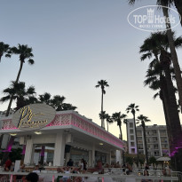 фото из отзыва ID 2734334