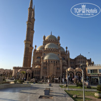 фото из отзыва ID 2734486