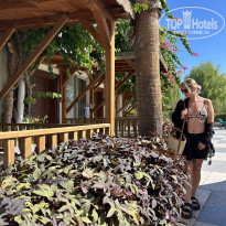 фото из отзыва ID 2734535