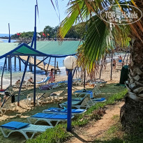 фото из отзыва ID 2734537