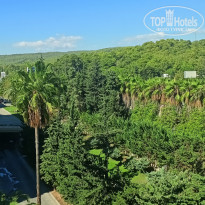 фото из отзыва ID 2734537