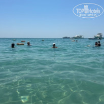 фото из отзыва ID 2734538