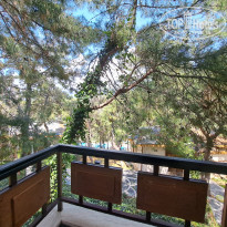 фото из отзыва ID 2734558