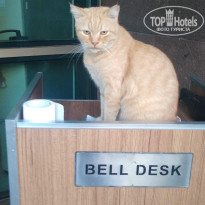 фото из отзыва ID 2734562