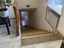 Базилик Усмань