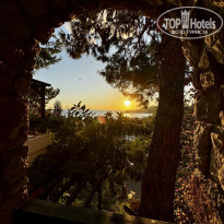 фото из отзыва ID 2734313