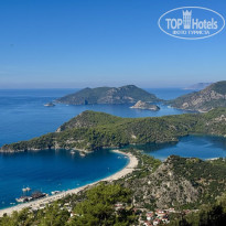 фото из отзыва ID 2734313