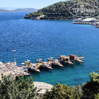 фото из отзыва ID 2734586