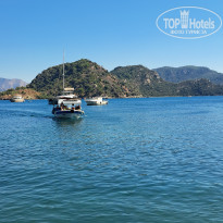 фото из отзыва ID 2734613