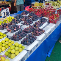 фото из отзыва ID 2734647