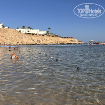 фото из отзыва ID 2734681