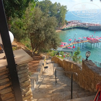 фото из отзыва ID 2734692