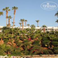 фото из отзыва ID 2734716