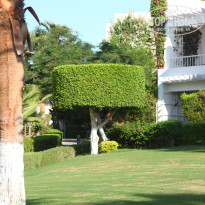 фото из отзыва ID 2734716